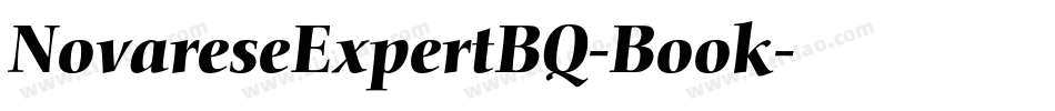 NovareseExpertBQ-Book字体转换