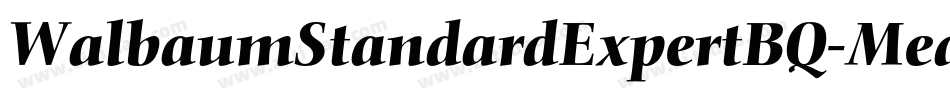 WalbaumStandardExpertBQ-Medium字体转换