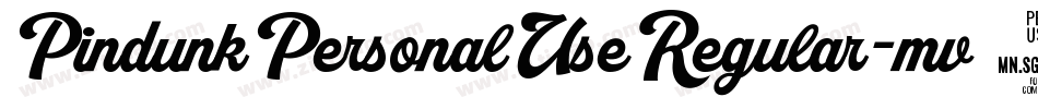 PindunkPersonalUseRegular-mv69字体转换 PindunkPersonalUseRegular-mv69字体转换