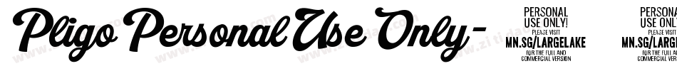 PligoPersonalUseOnly-41LB字体转换