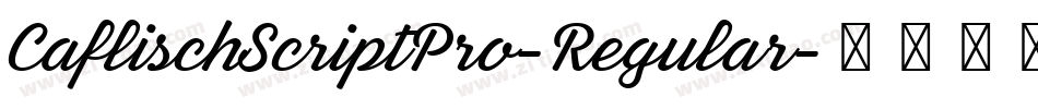 CaflischScriptPro-Regular字体转换