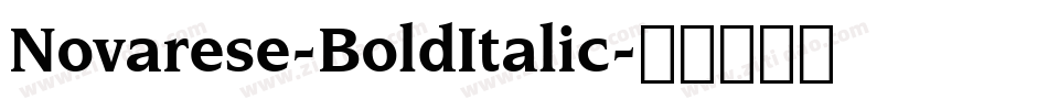 Novarese-BoldItalic字体转换