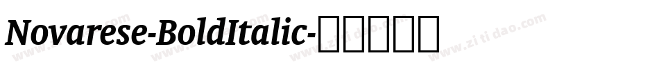 Novarese-BoldItalic字体转换