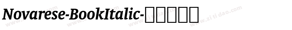 Novarese-BookItalic字体转换