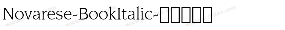 Novarese-BookItalic字体转换