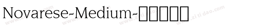 Novarese-Medium字体转换