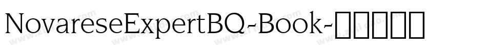 NovareseExpertBQ-Book字体转换