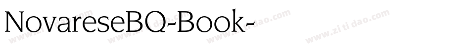 NovareseBQ-Book字体转换