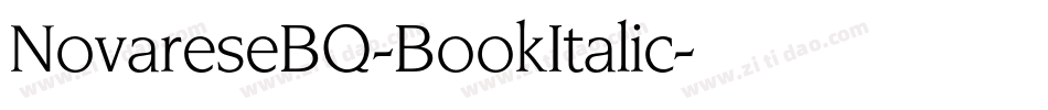 NovareseBQ-BookItalic字体转换
