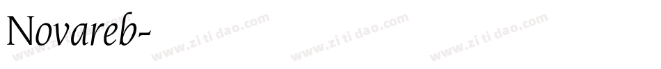 Novareb字体转换