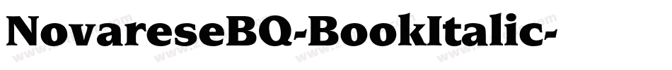 NovareseBQ-BookItalic字体转换