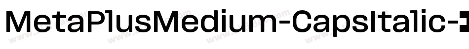 MetaPlusMedium-CapsItalic字体转换