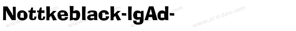 Nottkeblack-lgAd字体转换