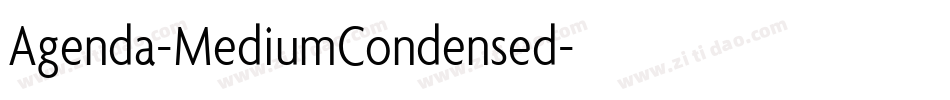 Agenda-MediumCondensed字体转换