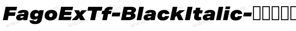 FagoExTf-BlackItalic字体转换