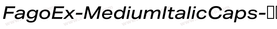 FagoEx-MediumItalicCaps字体转换