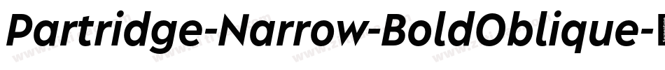 Partridge-Narrow-BoldOblique字体转换