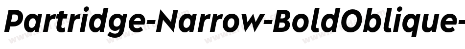 Partridge-Narrow-BoldOblique字体转换