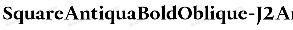 SquareAntiquaBoldOblique-J2An字体转换
