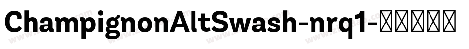ChampignonAltSwash-nrq1字体转换