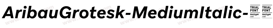 AribauGrotesk-MediumItalic字体转换