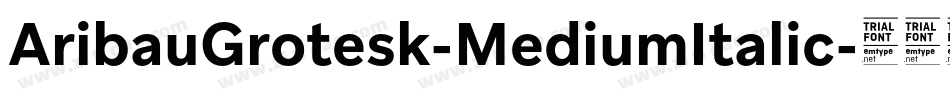 AribauGrotesk-MediumItalic字体转换