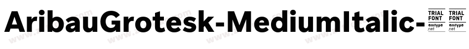 AribauGrotesk-MediumItalic字体转换