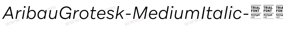 AribauGrotesk-MediumItalic字体转换