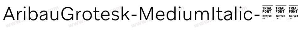 AribauGrotesk-MediumItalic字体转换