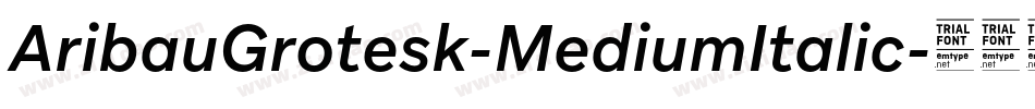 AribauGrotesk-MediumItalic字体转换