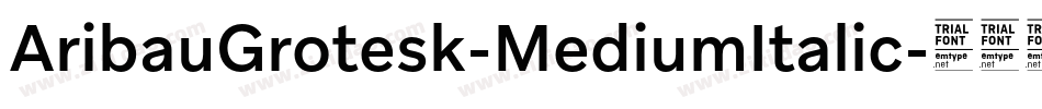 AribauGrotesk-MediumItalic字体转换