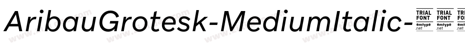 AribauGrotesk-MediumItalic字体转换