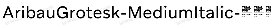 AribauGrotesk-MediumItalic字体转换