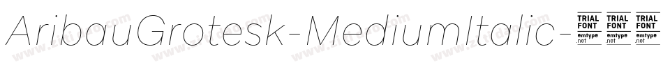 AribauGrotesk-MediumItalic字体转换