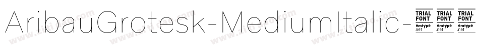 AribauGrotesk-MediumItalic字体转换