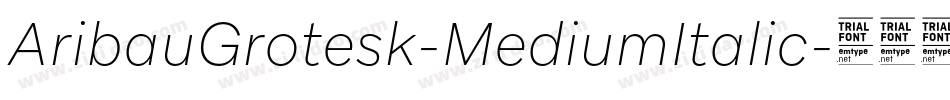AribauGrotesk-MediumItalic字体转换