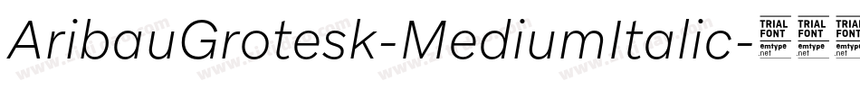 AribauGrotesk-MediumItalic字体转换
