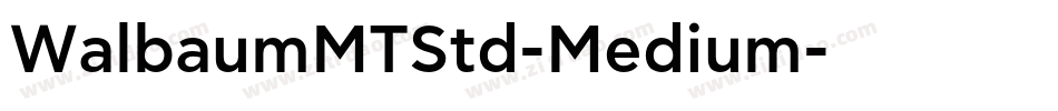 WalbaumMTStd-Medium字体转换