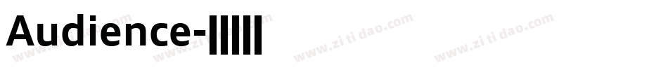 Audience字体转换