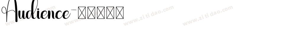 Audience字体转换