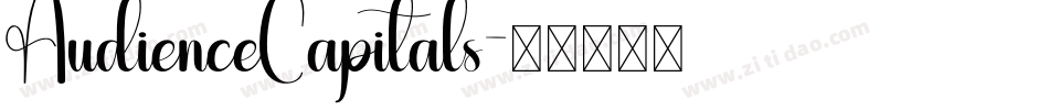 AudienceCapitals字体转换