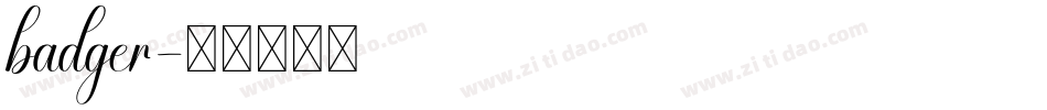 badger字体转换