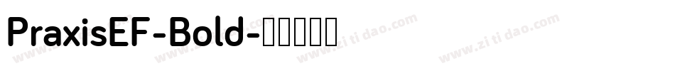 PraxisEF-Bold字体转换
