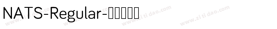 NATS-Regular字体转换