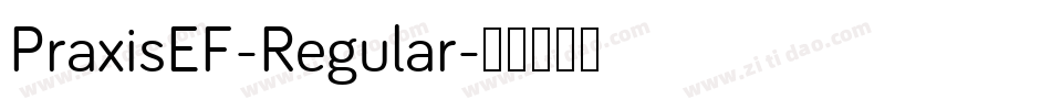 PraxisEF-Regular字体转换