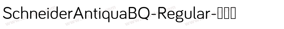 SchneiderAntiquaBQ-Regular字体转换