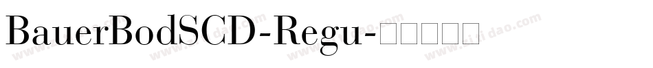 BauerBodSCD-Regu字体转换