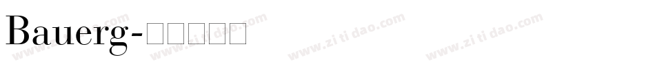 Bauerg字体转换