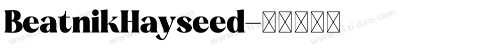 BeatnikHayseed字体转换
