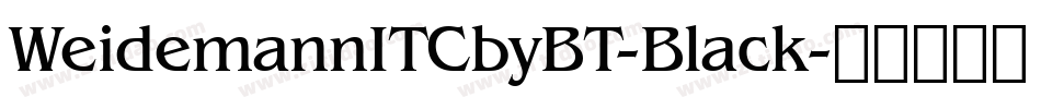 WeidemannITCbyBT-Black字体转换